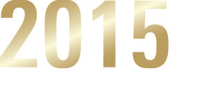 icon 2015
