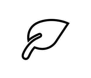 Logo Eco Mode